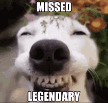 missed legendary missed legendary