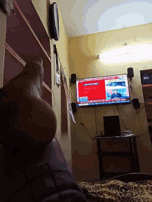 a flat screen tv shows a news report on a foreign country