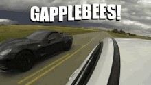 gapplebees gapped zr1 owned gt500