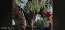 a person is standing next to a tree holding a red bottle .