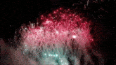 a bunch of fireworks are going off in the sky