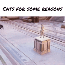 Cats Cats For Some Reasons GIF - Cats Cat Cats For Some Reasons GIFs