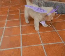 Puppies Cute GIF - Puppies Cute Puppy In Costume GIFs
