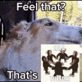 a picture of a dog and a picture of people holding hands with the words feel that that 's tuesday