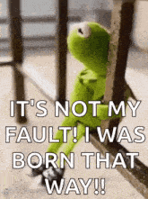 Sussa GIF