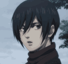 Mikasa Ackerman GIF