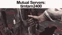 Mutual Servers Timtam GIF - Mutual Servers Timtam Timtam2400 GIFs