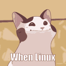 voicemod linux when when linux ubuntu