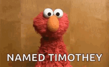 Im An Idiot Elmo GIF - Im An Idiot Elmo Named Timothy GIFs