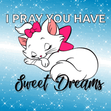 Sweet Dreams Cat GIF
