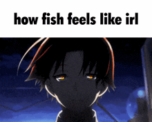 Fish Irl GIF - Fish Irl Feels GIFs