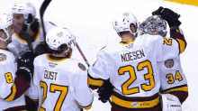 Chicago Wolves Ahl GIF - Chicago Wolves Ahl Wolves GIFs