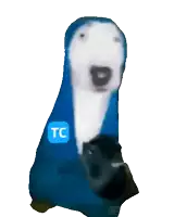 a dog wearing a blue hoodie with the tc logo on it