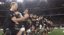 New Zealand Rugby Haka Dance GIF - Rugby New Zealand New Zealand Rugby GIFs