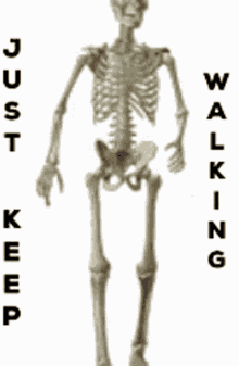 Walk Away Just Keep Walking GIF - Walk Away Just Keep Walking Skeleton GIFs