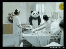 panda cheese hospital