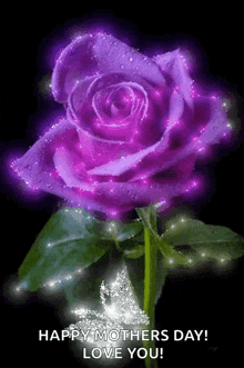 a purple rose is glowing in the dark and says happy mothers day ! love you !