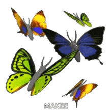 a group of butterflies are flying in a circle with the name makee written on the bottom