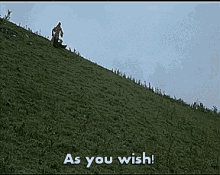 As You Roll GIF - Princess Bride Rolling Hill GIFs