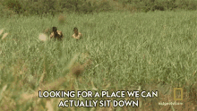 Looking For A Place We Can Actually Sit Down The Great Human Race GIF