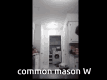 Mason GIF - Mason GIFs