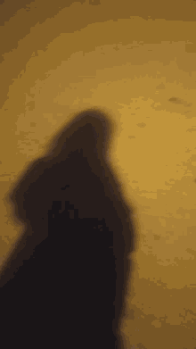 a shadow of a person standing in front of a yellow wall .