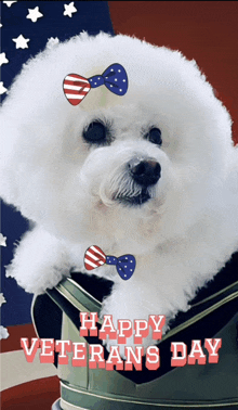 a happy veterans day card with a white dog in a military uniform