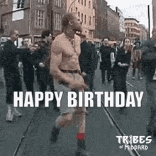 Happy Birthday Happy Birthday Viking GIF - Happy Birthday Happy Birthday Viking Tribes Of Midgard Happy Birthday GIFs