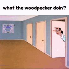 Woody Woodpecker What The Woodpecker Doin GIF - Woody Woodpecker Woody Woodpecker GIFs