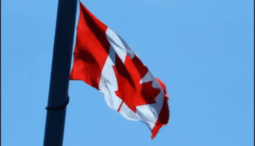waving canadian flags