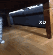 Xd Cat GIF - Xd Cat Xd Cat GIFs