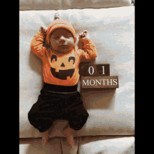 Bos 10months GIF