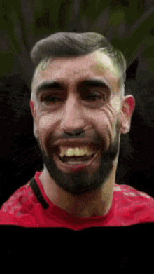 Manchester United GIF - Manchester United Funny GIFs