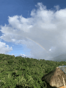 a rainbow appears over a lush green forest
