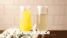 Mimosa Orange Juice GIF - Mimosa Orange Juice Cocktail GIFs