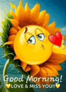 a sunflower with a smiley face on it is holding a heart and says `` good morning ! love & miss you ! ''