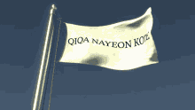 Nayeon Qiqaandrv GIF - Nayeon Qiqaandrv Qiqanay GIFs