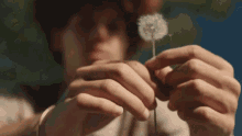 Blowing On A Dandelion The Beach Boys GIF - Blowing On A Dandelion The Beach Boys Dont Worry Baby Song GIFs