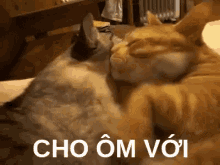 ôm Hôn Mèo GIF - Mèo ôm Hôn Choôm Với GIFs