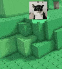 a picture of a cat in a box is surrounded by green cubes