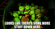 Angry Birds Bomb GIF - Angry Birds Bomb Looks Like Theres Some More Stuff Down Here GIFs