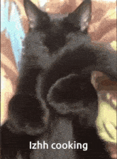 Izhh Ian GIF - Izhh Ian Cat Tail GIFs