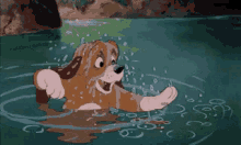 Copper Fun GIF - Copper Fun Dog GIFs