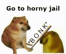horny jail go to horny jail bonk doge cheems