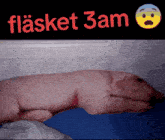 a stuffed pig is laying on a bed under a sign that says flasket 3 am