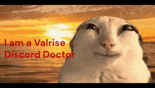 a picture of a cat with the words " i am a valrise discord doctor " on it