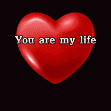 a red heart with the words `` you are my life ''