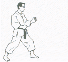 Karate Kick GIFs | Tenor