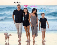 a family walking on a beach with kafkas elz moka and sloker