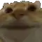 a close up of a cat 's face with a blurred background .